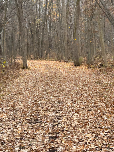 Guindon Park — photo 13