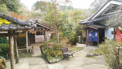 源泉掛け流し温泉 妻湯 — photo 10