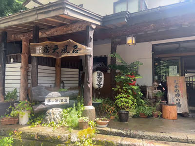 Takanoyu Onsen — photo 06