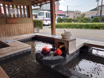熱塩温泉示現寺の足湯 — photo 04