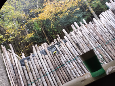 Panthalassa Nomi Ashikaga Hot Spring — photo 23