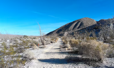 Agua Caliente County Park — photo 05