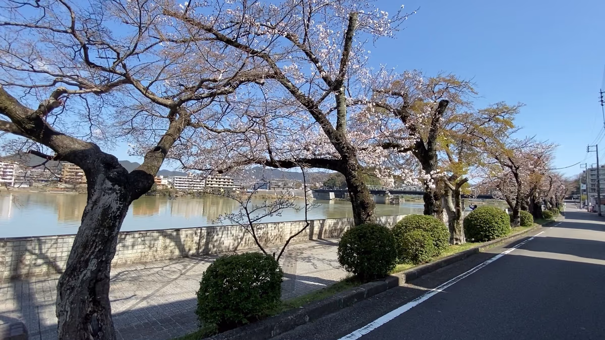 Rinkokan