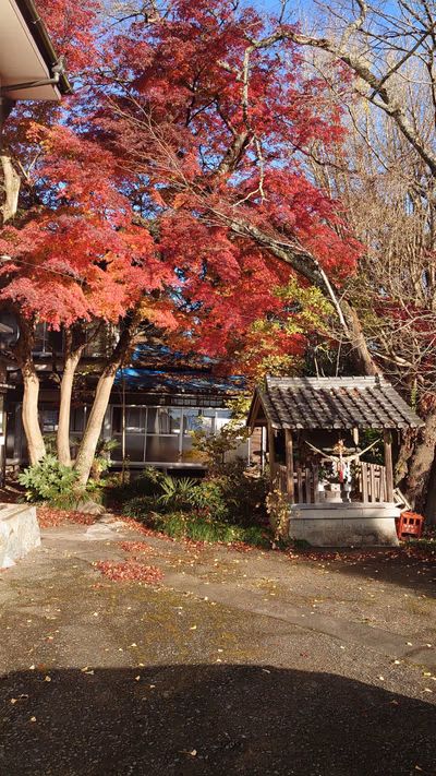 白米鉱泉つるの湯 — photo 14