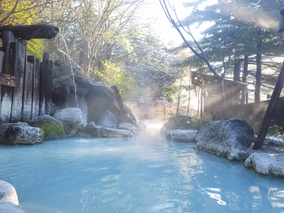 Adachiya Ryokan Yakushi no Yu — photo 21