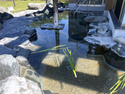 Fujino Yamanami Hot Springs — photo 11