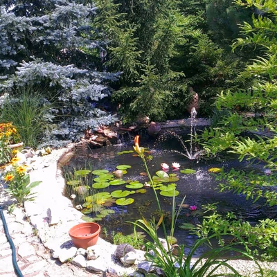 KAQUN Spa Miskolc — photo 03