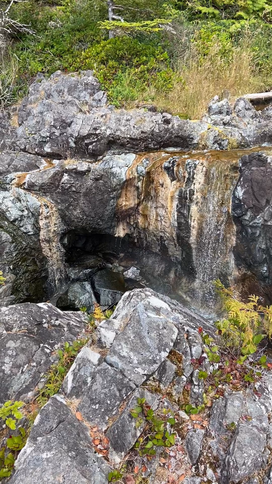 Maquinna Marine Provincial Park