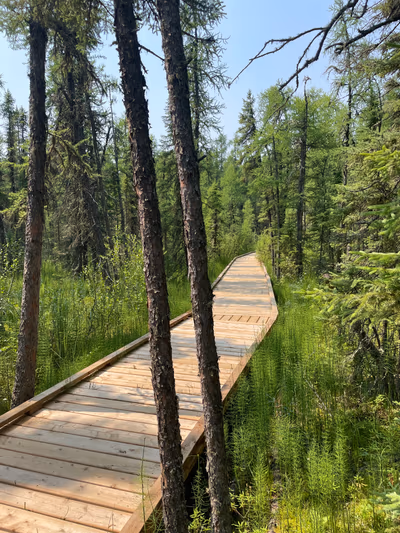 Prince Albert National Park — photo 19