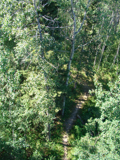 Prince Albert National Park — photo 23
