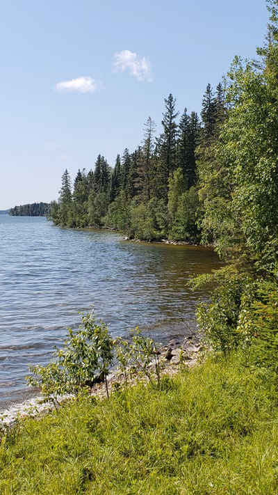 Prince Albert National Park — photo 46