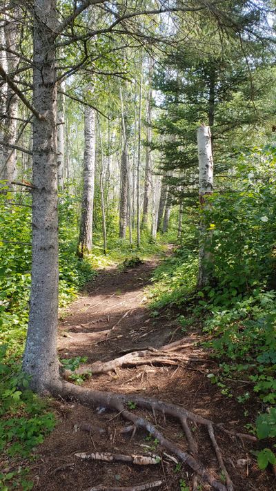 Prince Albert National Park — photo 47