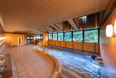 Sanage Onsen Hotel Kinsenkaku — photo 06