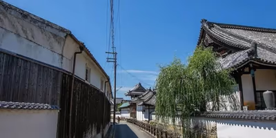 Tatsunocho Tominaga — photo 04