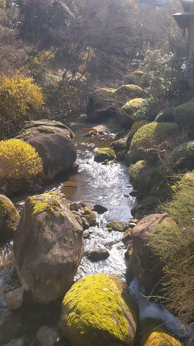 鬼岩温泉 了山 — photo 03