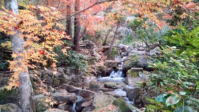 鬼岩温泉 了山 — photo 16