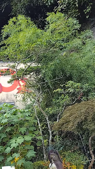 天然温泉 和泉 — photo 04