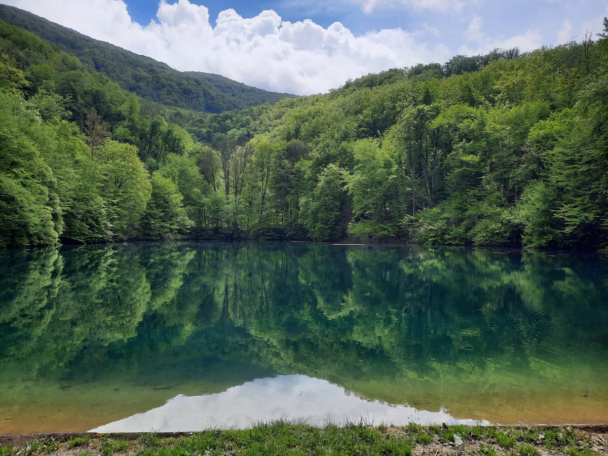 Szalajka