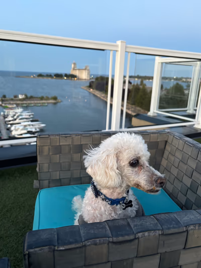 Vitality Vacations — photo 11