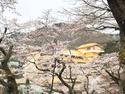 Hanamakionsen Hotel Senshukaku — photo 26