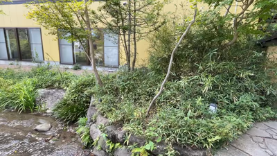 Sawaoto Onsen Ryokan Utsumi — photo 04