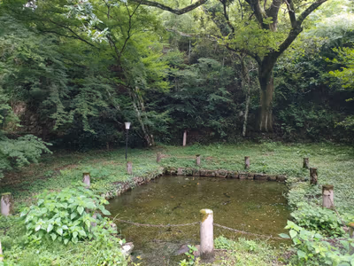 小森温泉 — photo 09