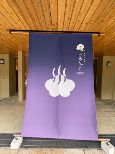Okuhitaonsen Umehibiki Higaeri Hot Spring — photo 16