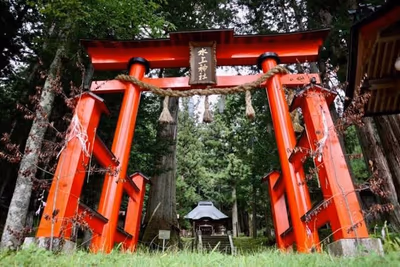 Takase — photo 15