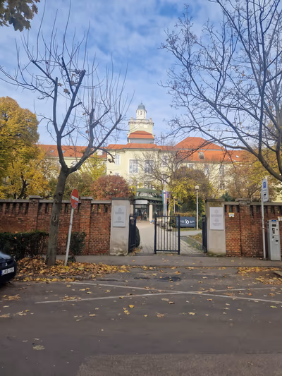 Corso Hotel Pécs — photo 11
