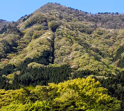 Kinugawa Hot Spring — photo 14