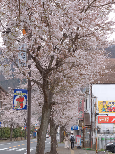 Kinugawa Hot Spring — photo 15