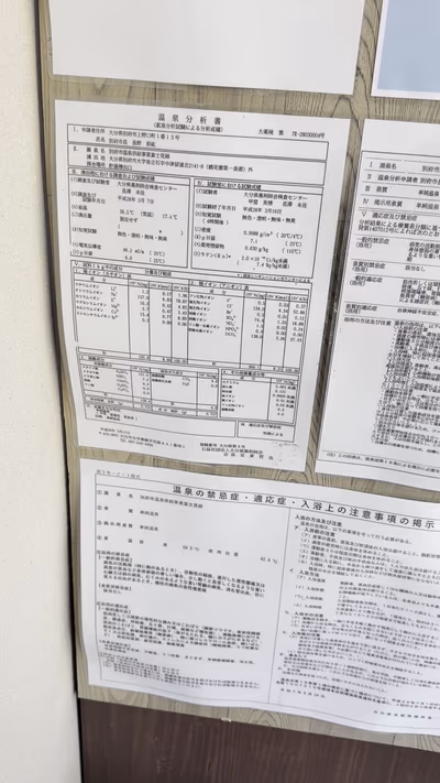 Yumehinokinoyu Daibutsu Hot Spring — photo 13