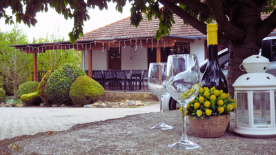 Fried Kastélyszálló Resort — photo 13
