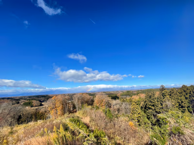 東山道那須温泉(とうさんどうなすおんせん) — photo 04