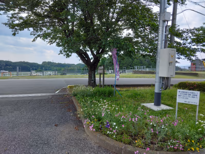 Yasuragi — photo 18