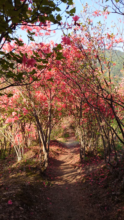 Tsurugisanyuuma Hot Spring — photo 09