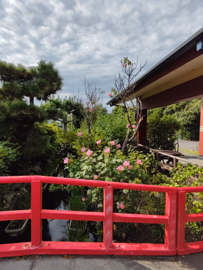 遠州 みなみの湯 — photo 15