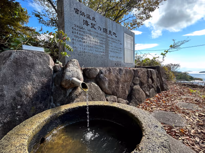 The source of natural hot spring — photo 14