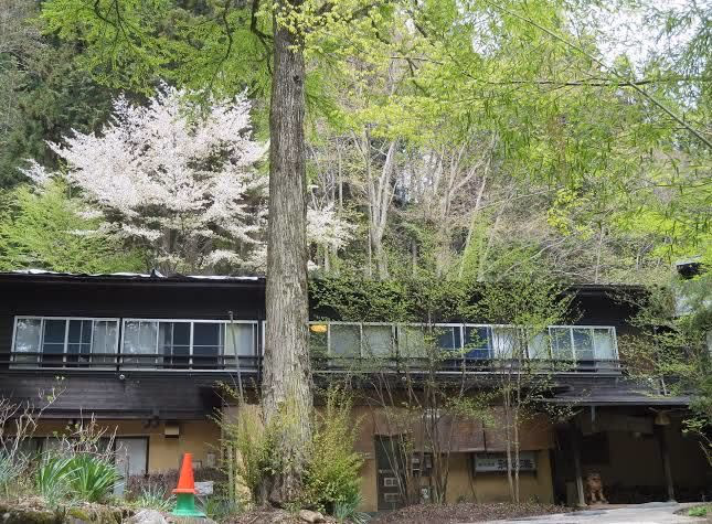 Dokuzawa mineral spring Kaminoyu
