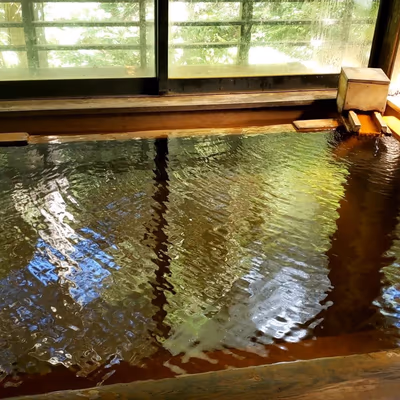 Dokuzawa mineral spring Kaminoyu — photo 09