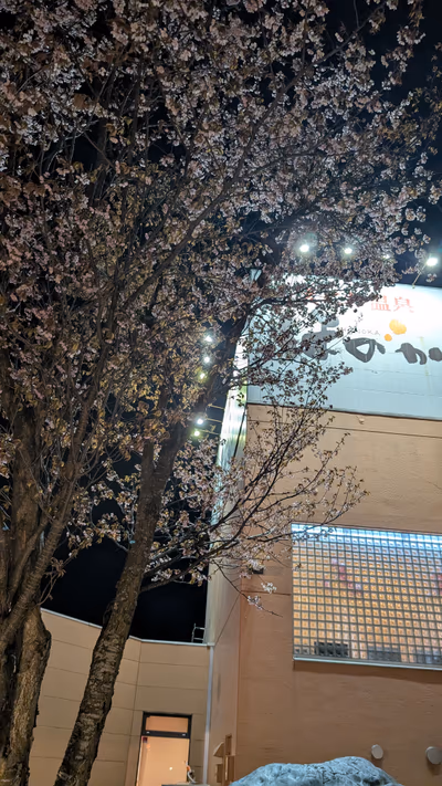 Eniwaonsen Honoka — photo 02