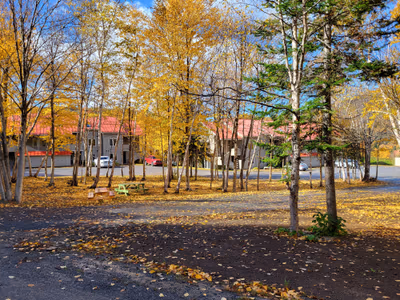 Marblewood Village Resort — photo 05