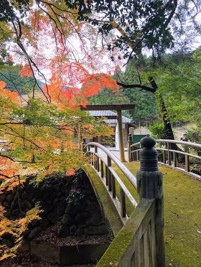 Hinotani Onsen Misugi Resort — photo 20