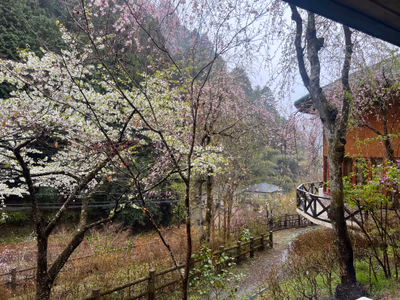 Tsurutsuru Onsen — photo 32