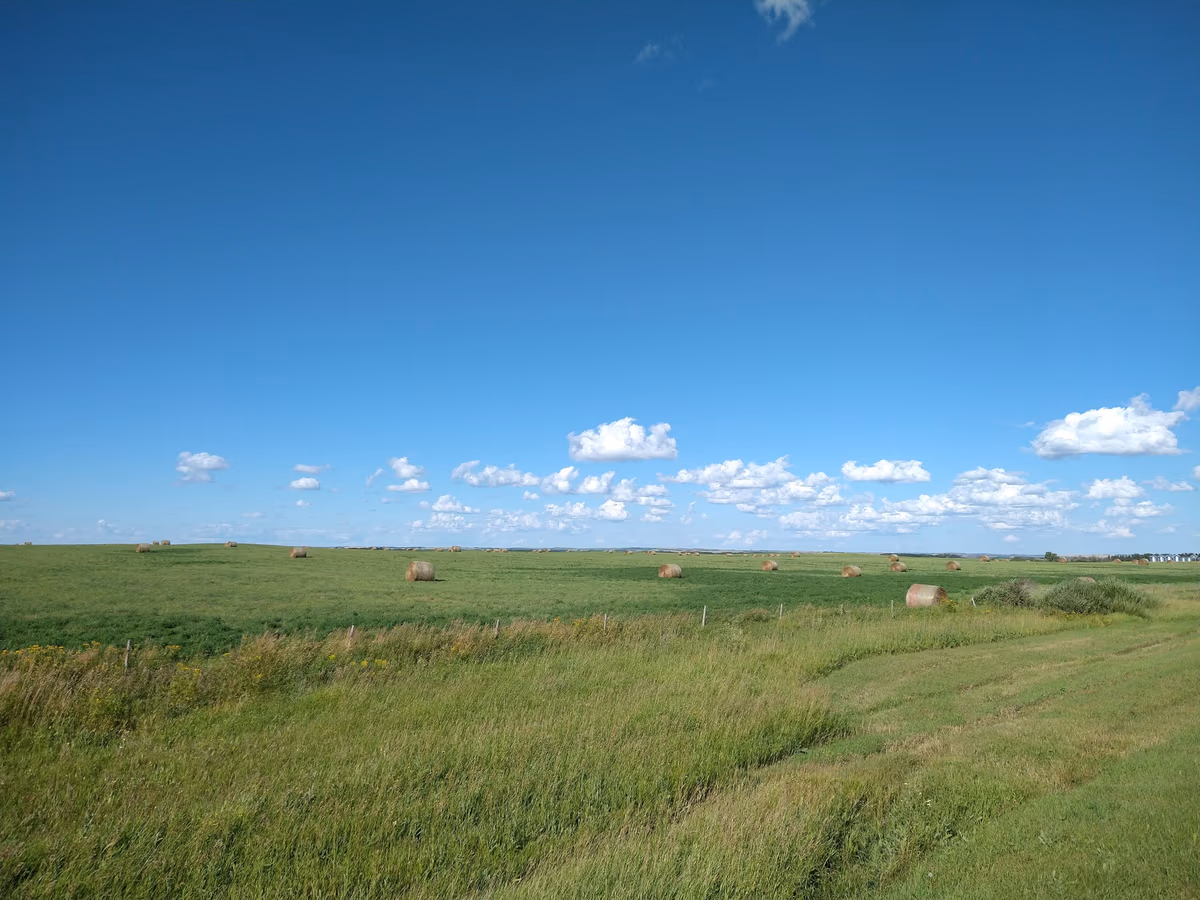 North Battleford No. 437
