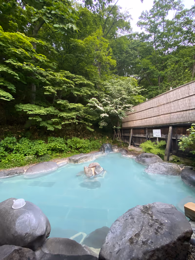 Domeki Hot Spring — photo 07