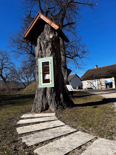 Museum of the Magyar Language — photo 11