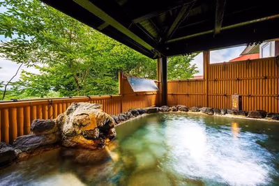 KYUKAMURA IWATE — photo 11