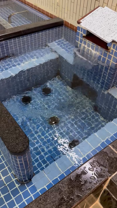 Meiwa Spa — photo 04