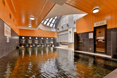 Alps Onsen — photo 07